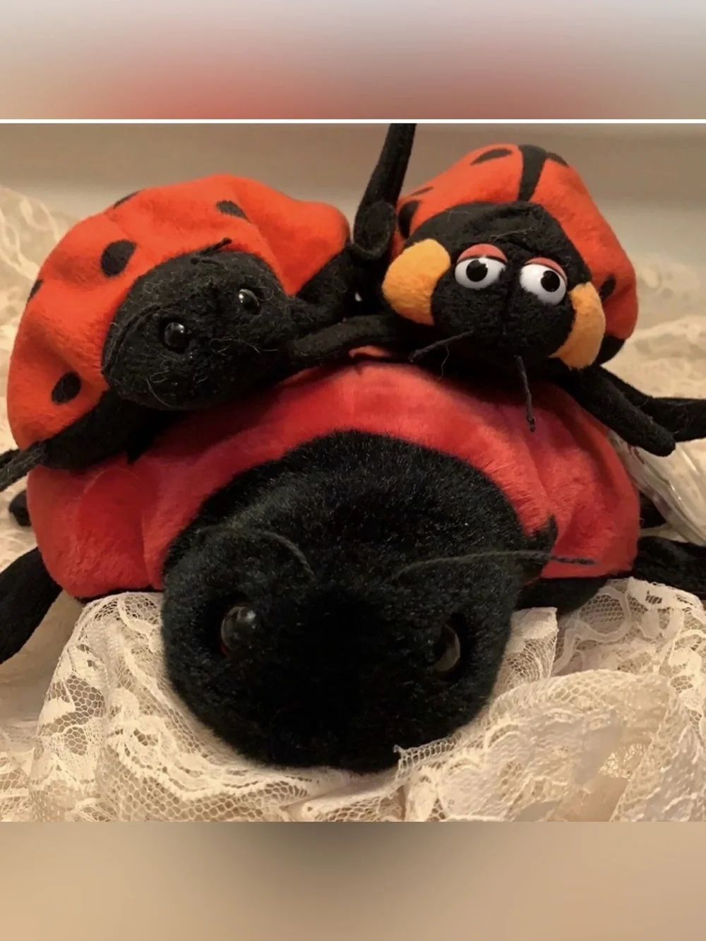 TY beanie babies  Bundle of Lady Bugs Mommy and babies 2 Don’t Have Tags